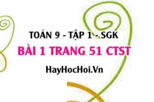 Bài 1 trang 51Toán 9 tập 1 Chân trời sáng tạo